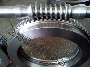 數控回轉工作臺用平面包絡環(huán)面蝸桿蝸輪